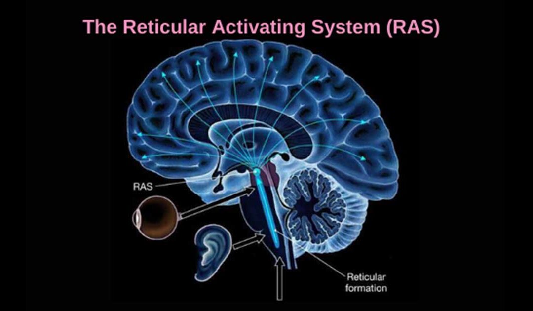 Unlock the power of Reticular Activating System (RAS)