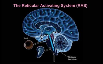 Unlock the power of Reticular Activating System (RAS)